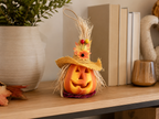 Lighted Pumpkin Scarecrow Décor