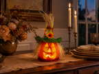 Lighted Pumpkin Scarecrow Décor